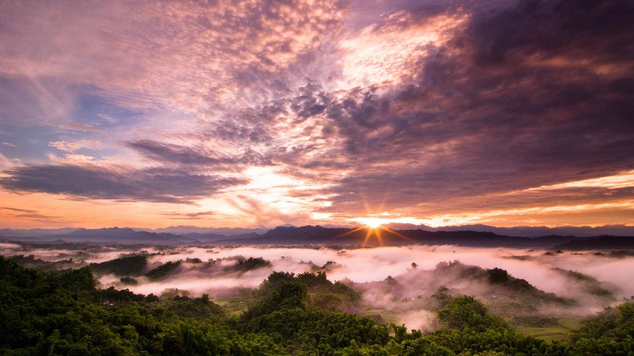 网红商城